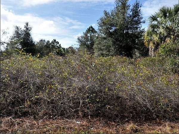 0.23 Acres of Residential Land for Sale in North Port, Florida