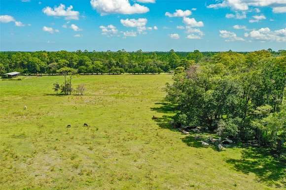 19.5 Acres of Recreational Land & Farm for Sale in Bunnell, Florida