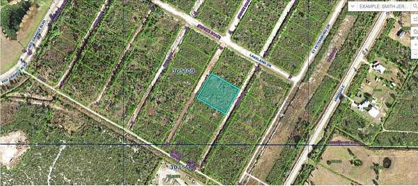 1 Acre of Land for Sale in Lake Wales, Florida
