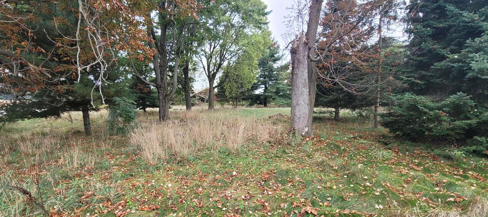 4.29 Acres of Residential Land for Sale in Richland, Michigan