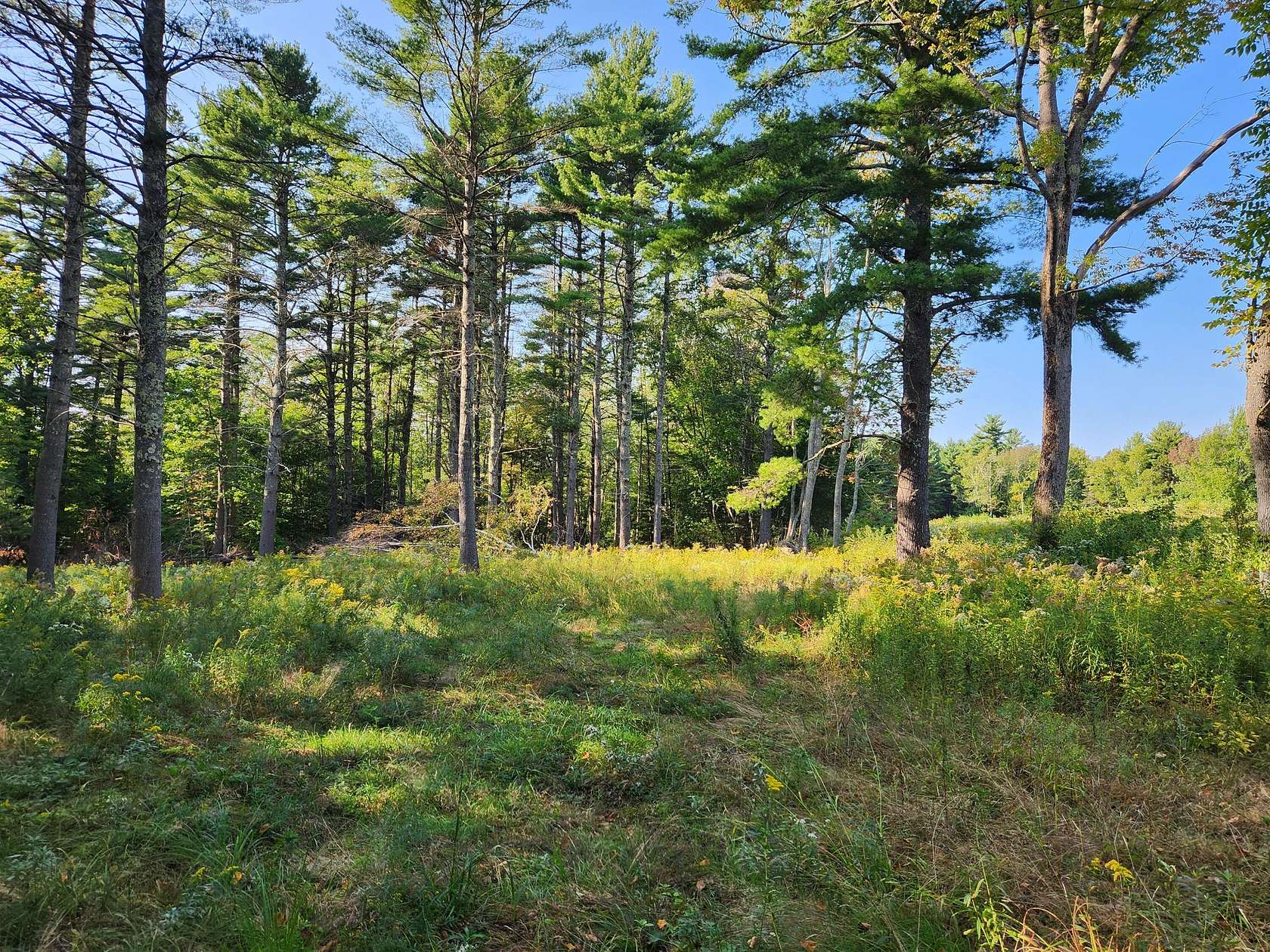 8.07 Acres of Residential Land for Sale in Lincolnville, Maine