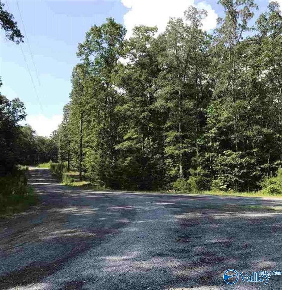 2.45 Acres of Land for Sale in Mentone, Alabama