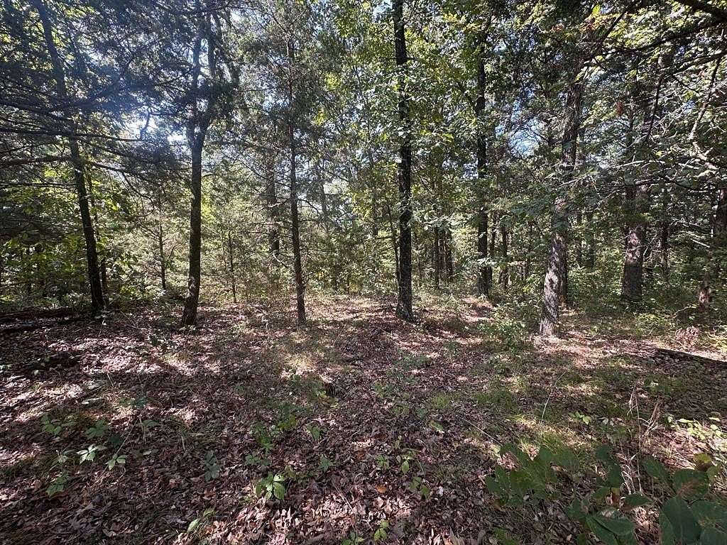 0.196 Acres of Residential Land for Sale in Gordonville, Texas