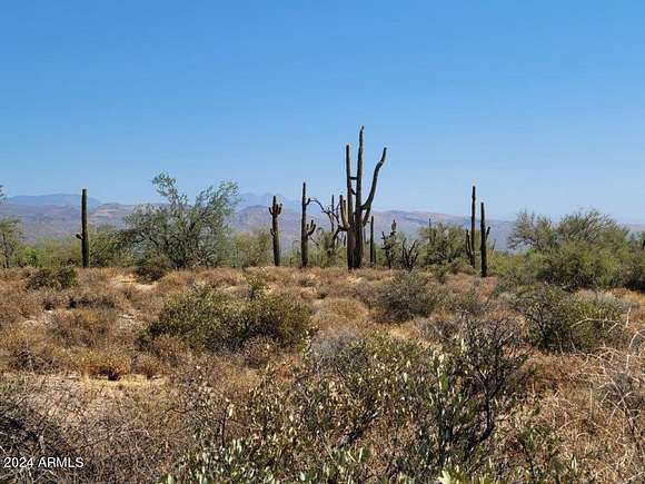 10 Acres of Recreational Land & Farm for Sale in Rio Verde, Arizona