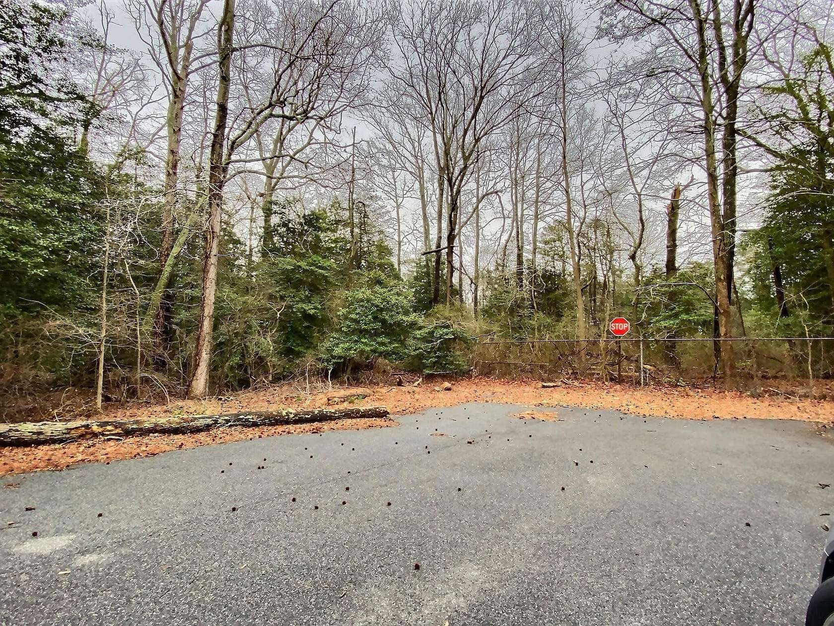 Residential Land for Sale in Marmora, New Jersey