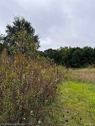 8.62 Acres of Residential Land for Sale in Brighton, Michigan