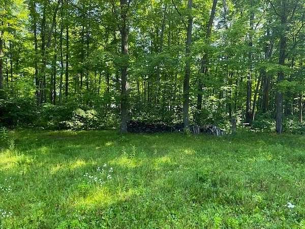 5 Acres of Residential Land for Sale in Pickerel, Wisconsin