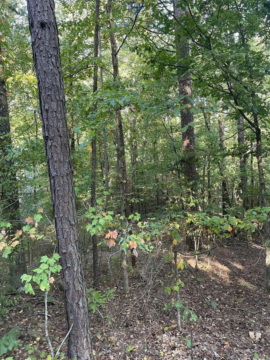 0.51 Acres of Residential Land for Sale in Hot Springs Village, Arkansas