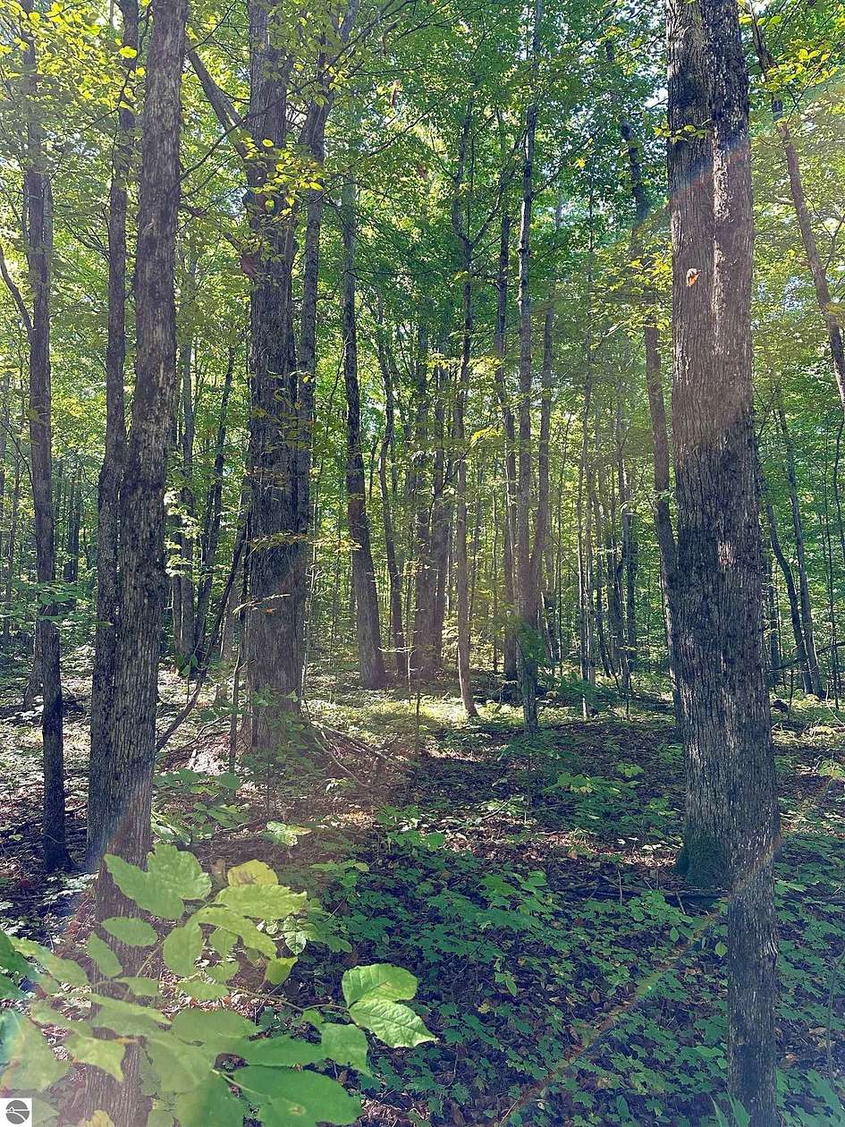 0.42 Acres of Land for Sale in Kalkaska, Michigan