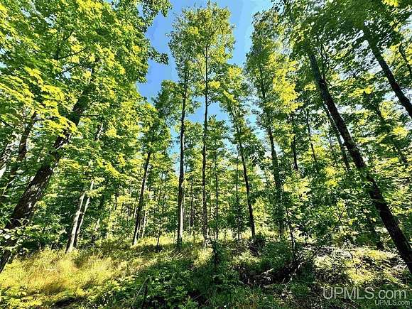 80 Acres of Recreational Land for Sale in Skanee, Michigan