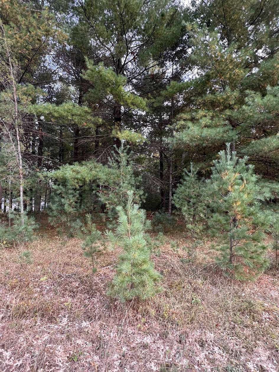 0.39 Acres of Residential Land for Sale in Alger, Michigan