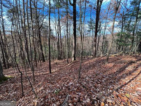 1 Acre of Land for Sale in Ellijay, Georgia