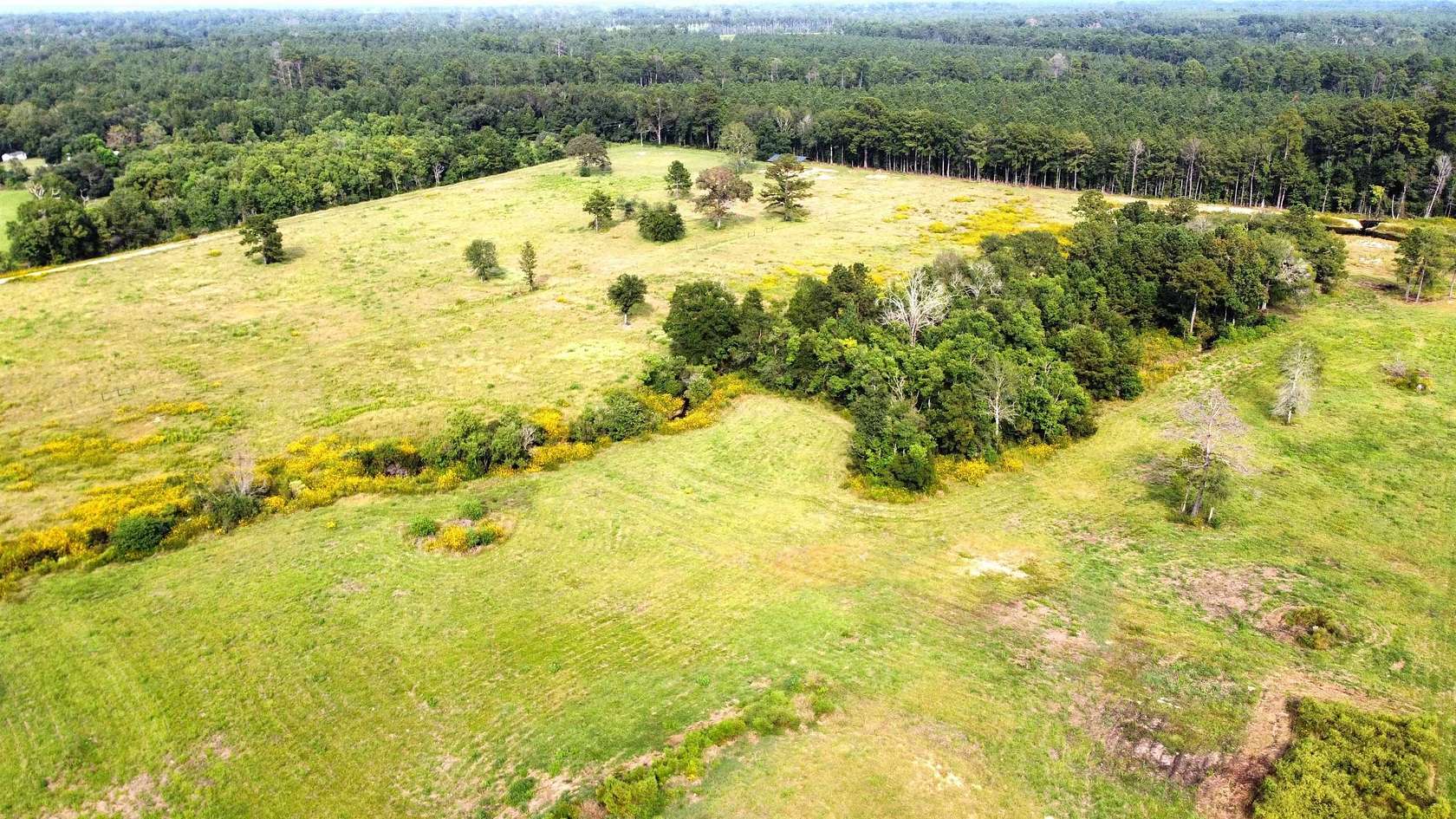 19.34 Acres of Land for Sale in Kirbyville, Texas