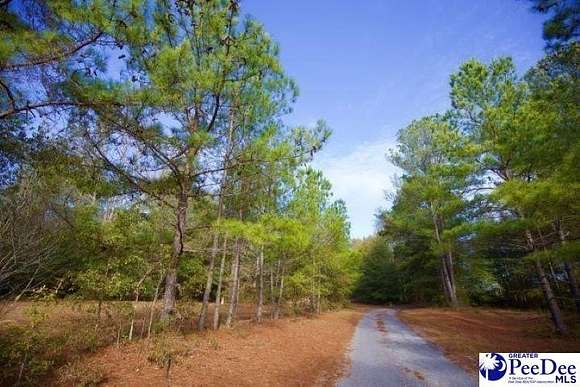 9.84 Acres of Land for Sale in Florence, South Carolina