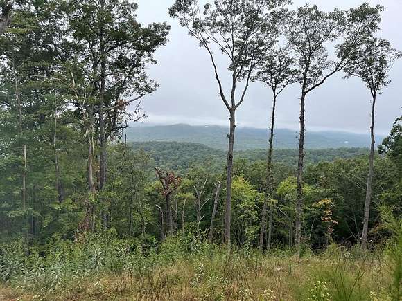 2.46 Acres of Land for Sale in Mineral Bluff, Georgia