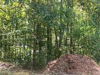 2.45 Acres of Land for Sale in Wartburg, Tennessee