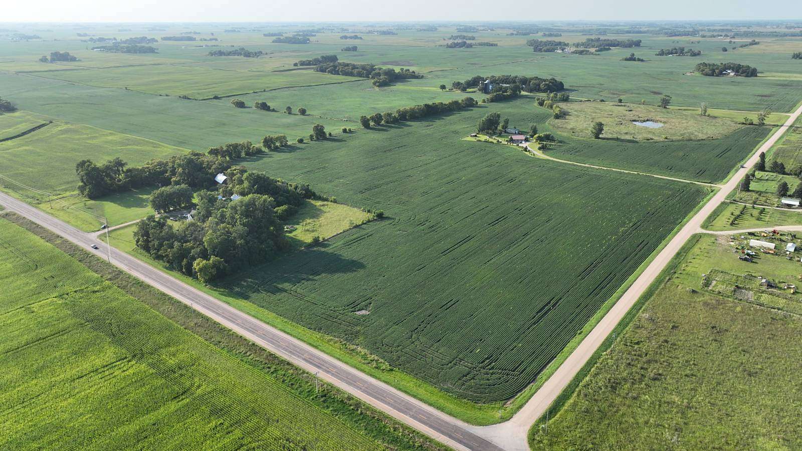 69.24 Acres of Agricultural Land for Auction in Hutchinson, Minnesota