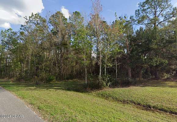 25 Acres of Land for Sale in Palatka, Florida