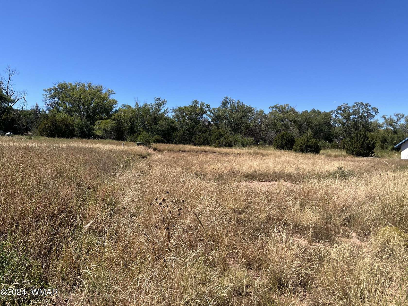 0.29 Acres of Residential Land for Sale in Springerville, Arizona