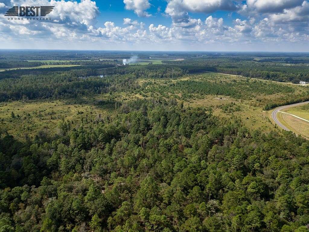 29 Acres of Recreational Land for Sale in Hazlehurst, Georgia