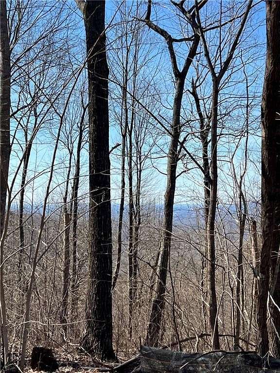 6.49 Acres of Residential Land for Sale in Ellijay, Georgia