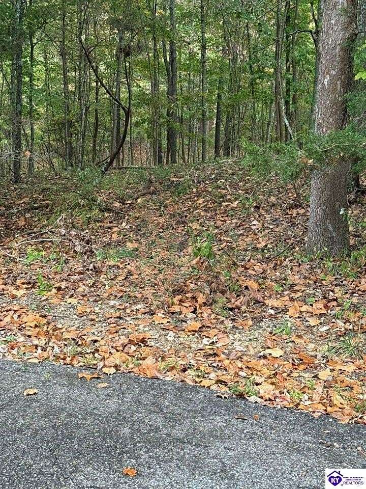 0.25 Acres of Residential Land for Sale in Brandenburg, Kentucky