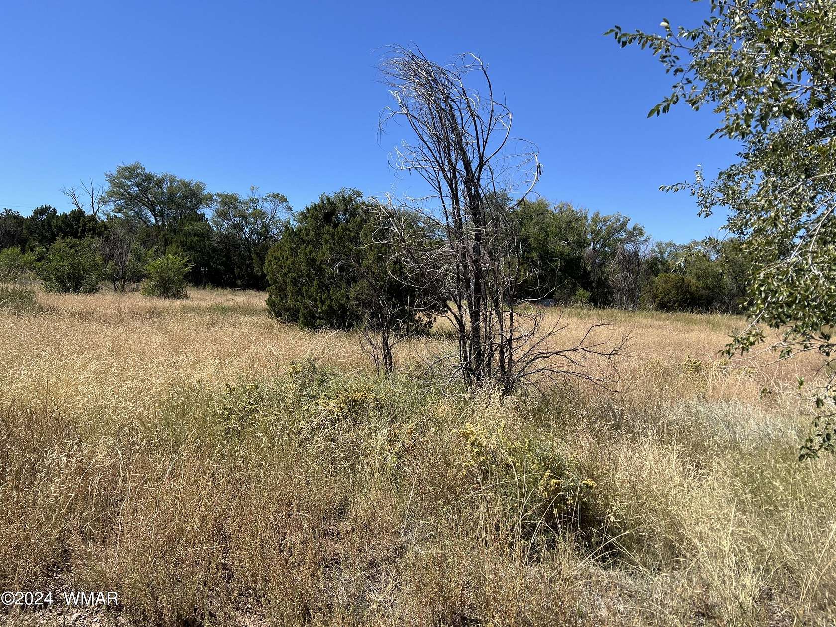 0.29 Acres of Residential Land for Sale in Springerville, Arizona