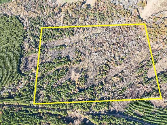 46 Acres of Recreational Land for Sale in Douglass, Texas