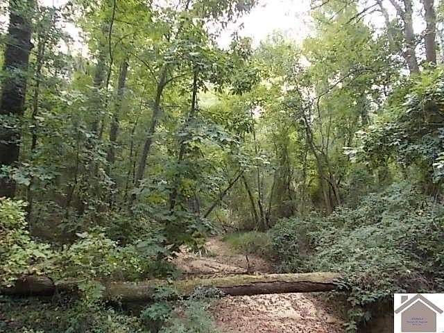 5.21 Acres of Residential Land for Sale in Paducah, Kentucky