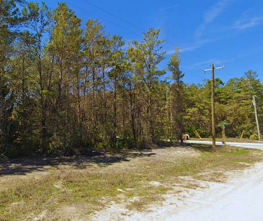 1.02 Acres of Residential Land for Sale in Perry, Florida