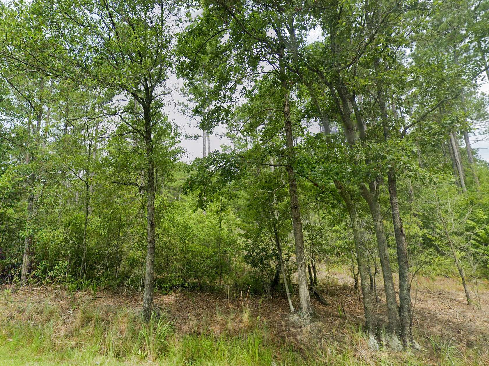 3.08 Acres of Residential Land for Sale in Dorchester, South Carolina