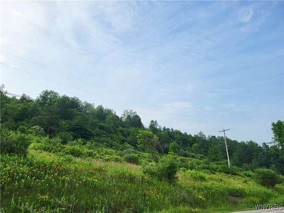 108 Acres of Land for Sale in Machias, New York