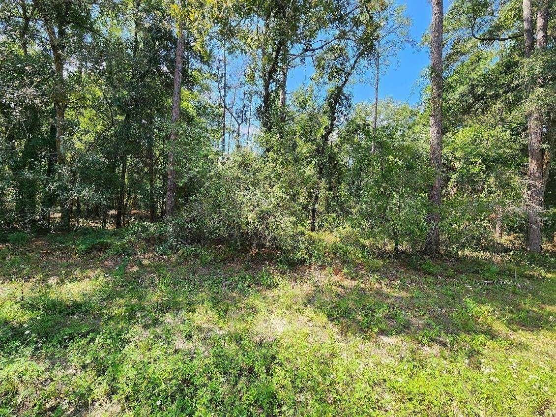 0.28 Acres of Residential Land for Sale in Citrus Springs, Florida