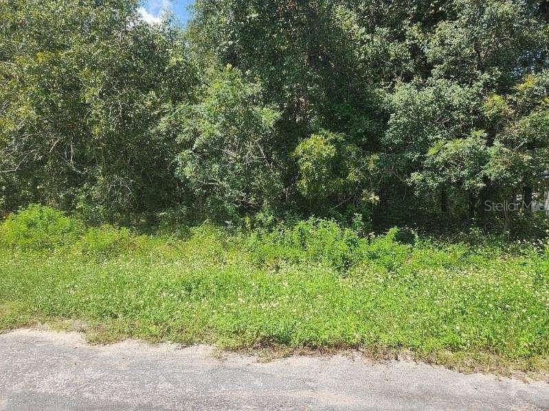 0.24 Acres of Residential Land for Sale in Citrus Springs, Florida