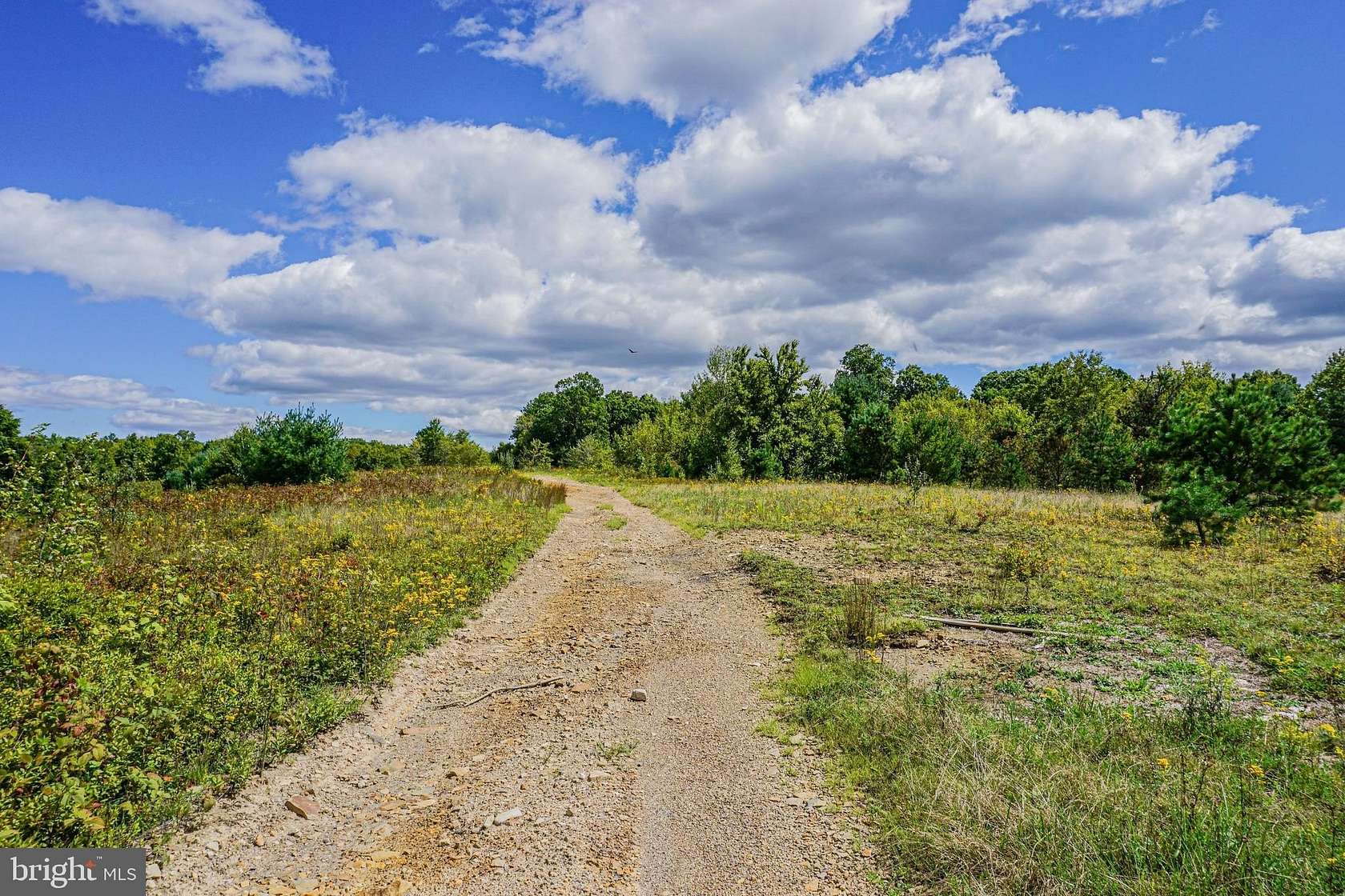 173 Acres of Recreational Land for Sale in Renovo, Pennsylvania