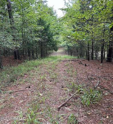 10.62 Acres of Land for Sale in Hernando, Mississippi