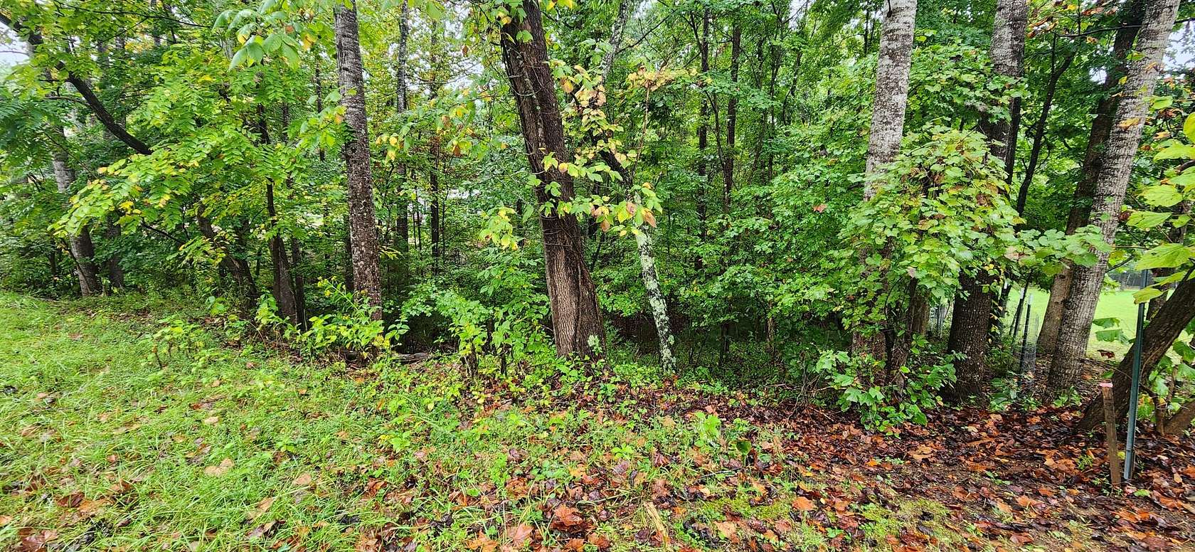 0.46 Acres of Land for Sale in Rocky Mount, Virginia