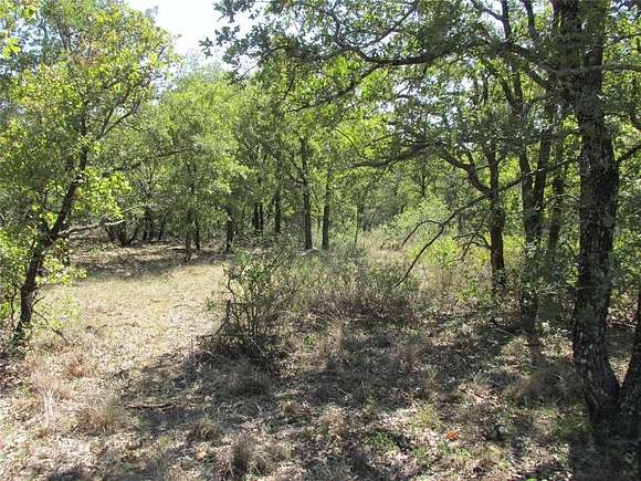 100.14 Acres of Land for Sale in Jacksboro, Texas