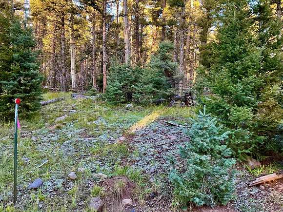 0.89 Acres of Residential Land for Sale in Angel Fire, New Mexico