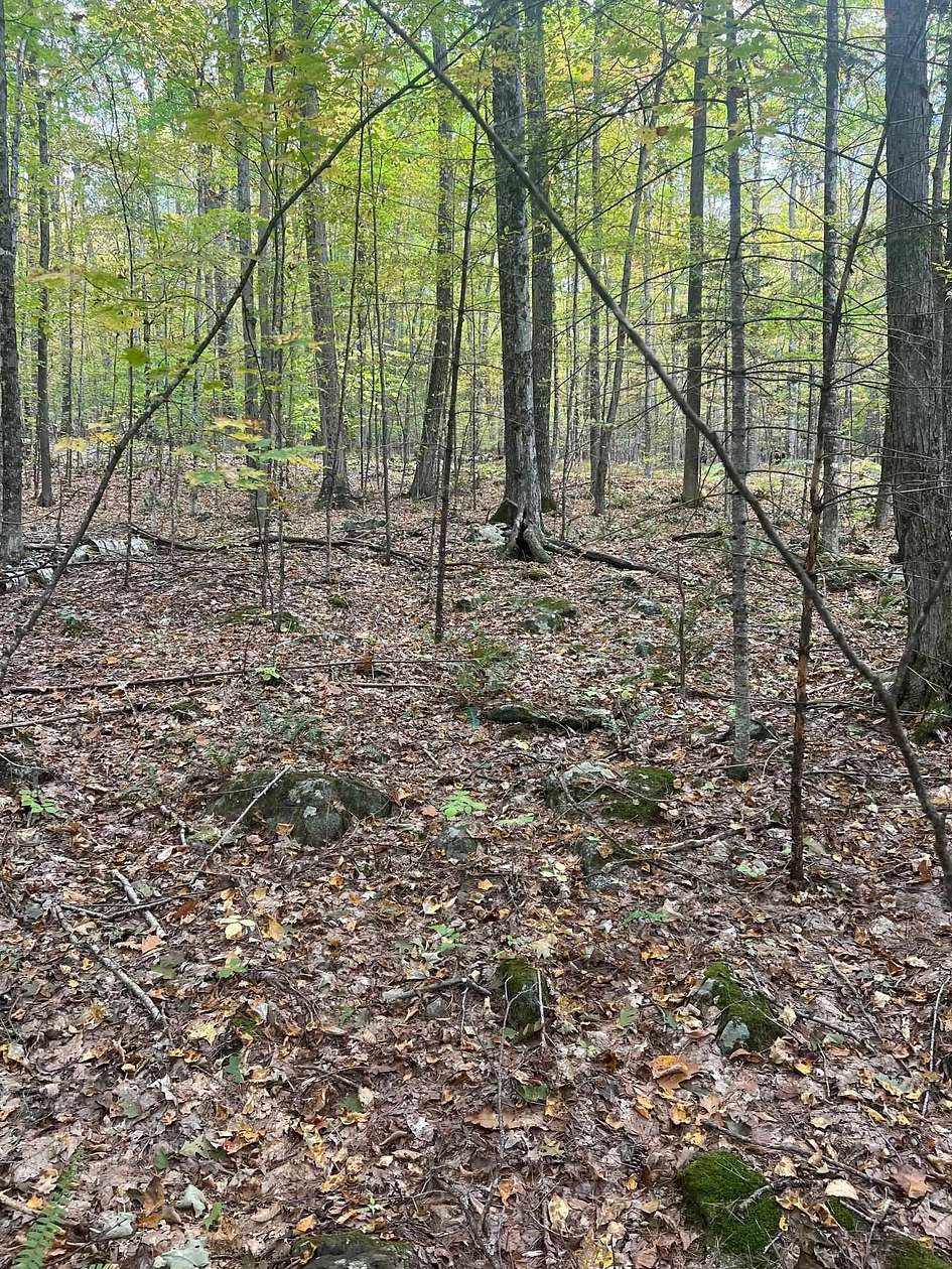 2.4 Acres of Residential Land for Sale in Waterford Town, Vermont