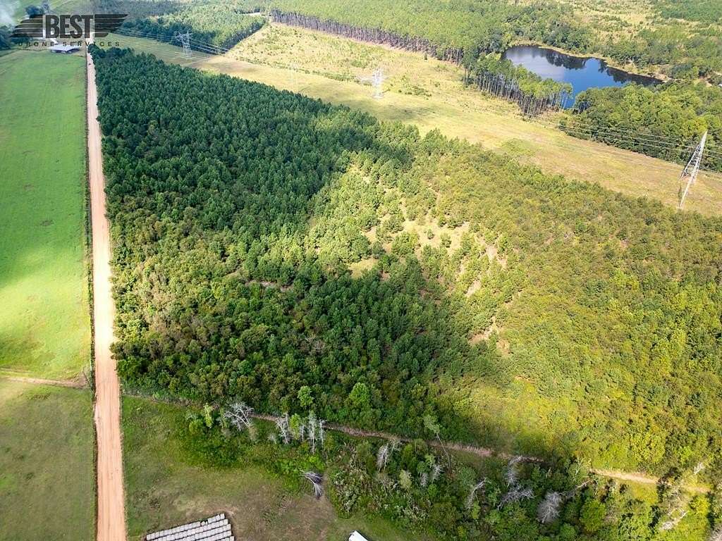 32 Acres of Recreational Land for Sale in Hazlehurst, Georgia