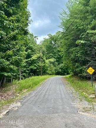 0.33 Acres of Residential Land for Sale in Spring City, Tennessee