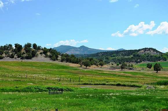 38 Acres of Agricultural Land with Home for Sale in Ignacio, Colorado