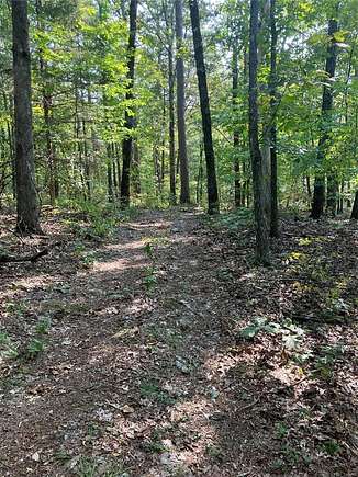 10 Acres of Recreational Land & Farm for Sale in Alton, Missouri