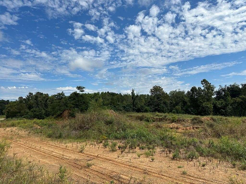 99.19 Acres of Land for Sale in Natchez, Mississippi