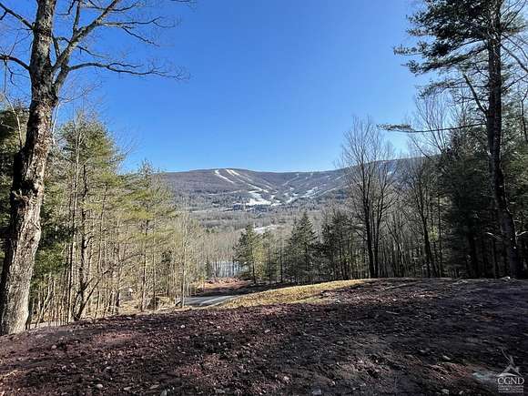 1.2 Acres of Residential Land for Sale in Windham, New York