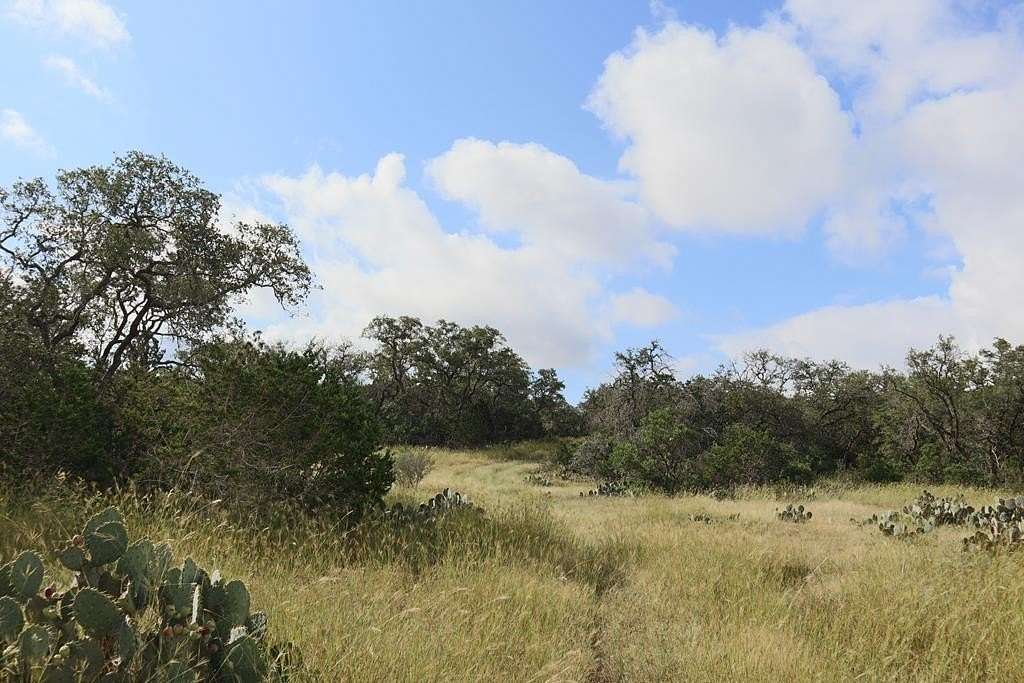 50 Acres of Land for Sale in Hondo, Texas