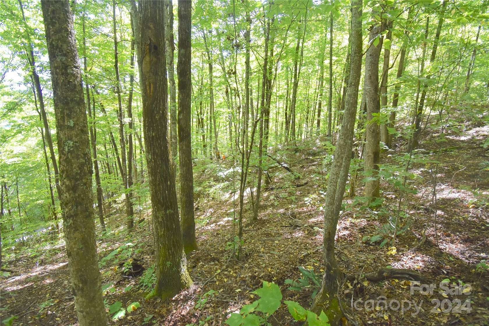 2.29 Acres of Residential Land for Sale in Waynesville, North Carolina