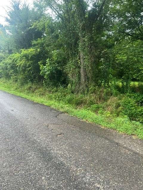 20 Acres of Land for Sale in Mansfield, Louisiana