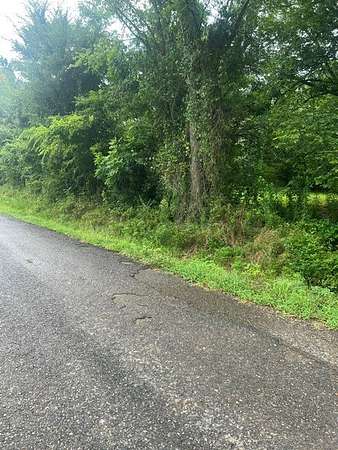 20 Acres of Land for Sale in Mansfield, Louisiana